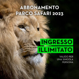 ABBONAMENTO INGRESSO ILLIMITATO (1 persona)