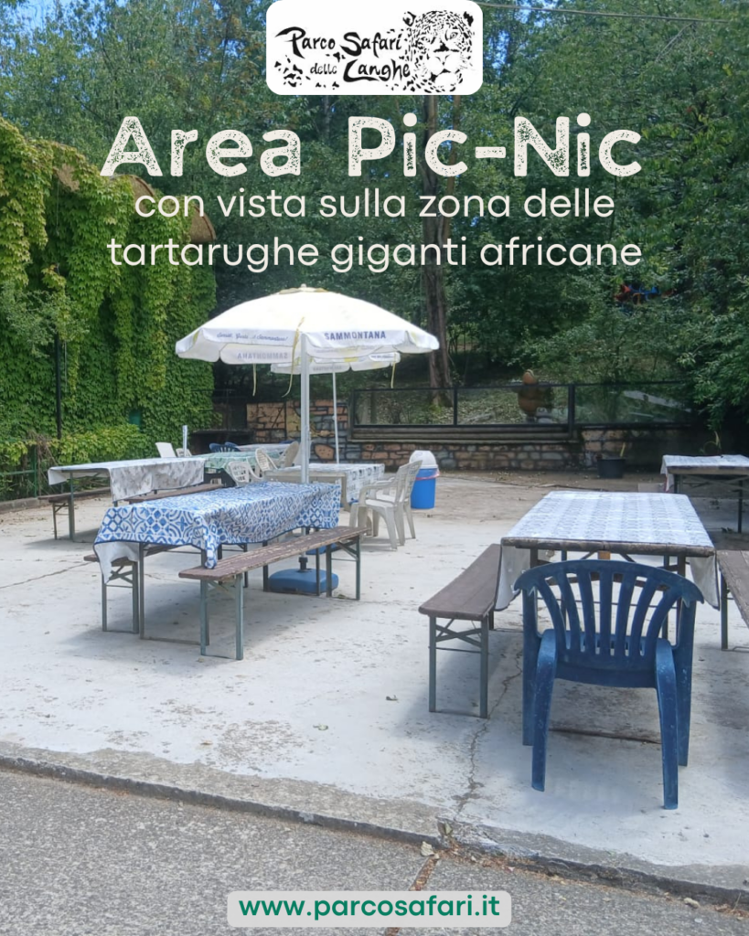 Area PicNic con vista sulle tartarughe giganti